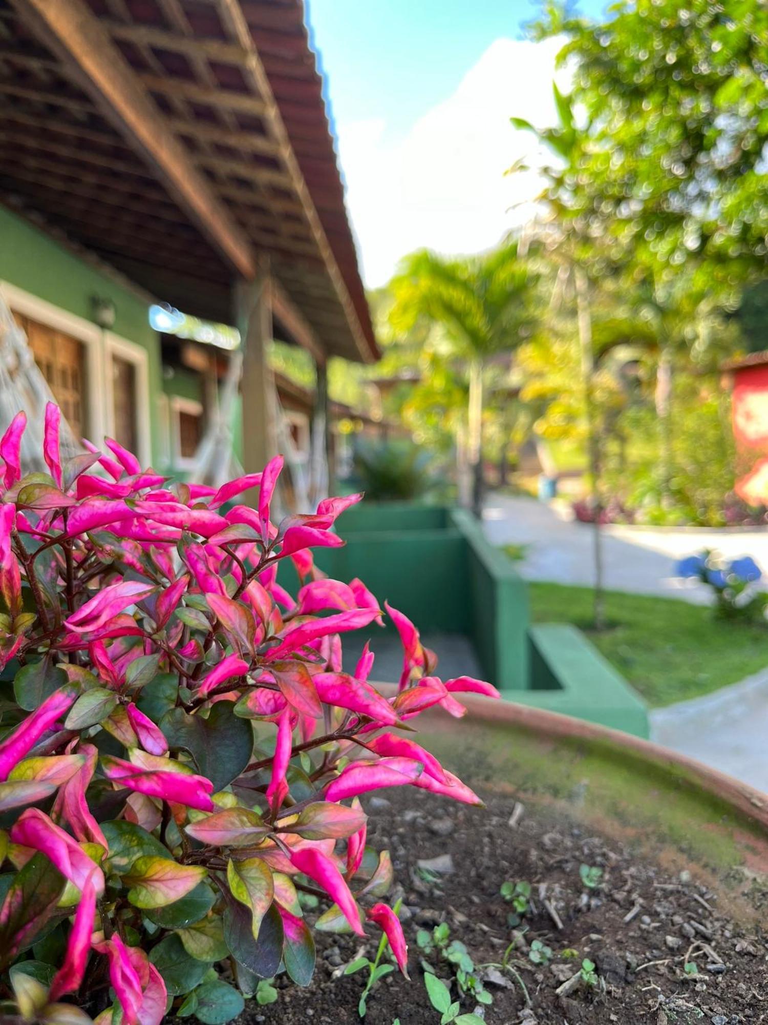 Pousada E Restaurante Alto Da Serra Bonito  Eksteriør bilde