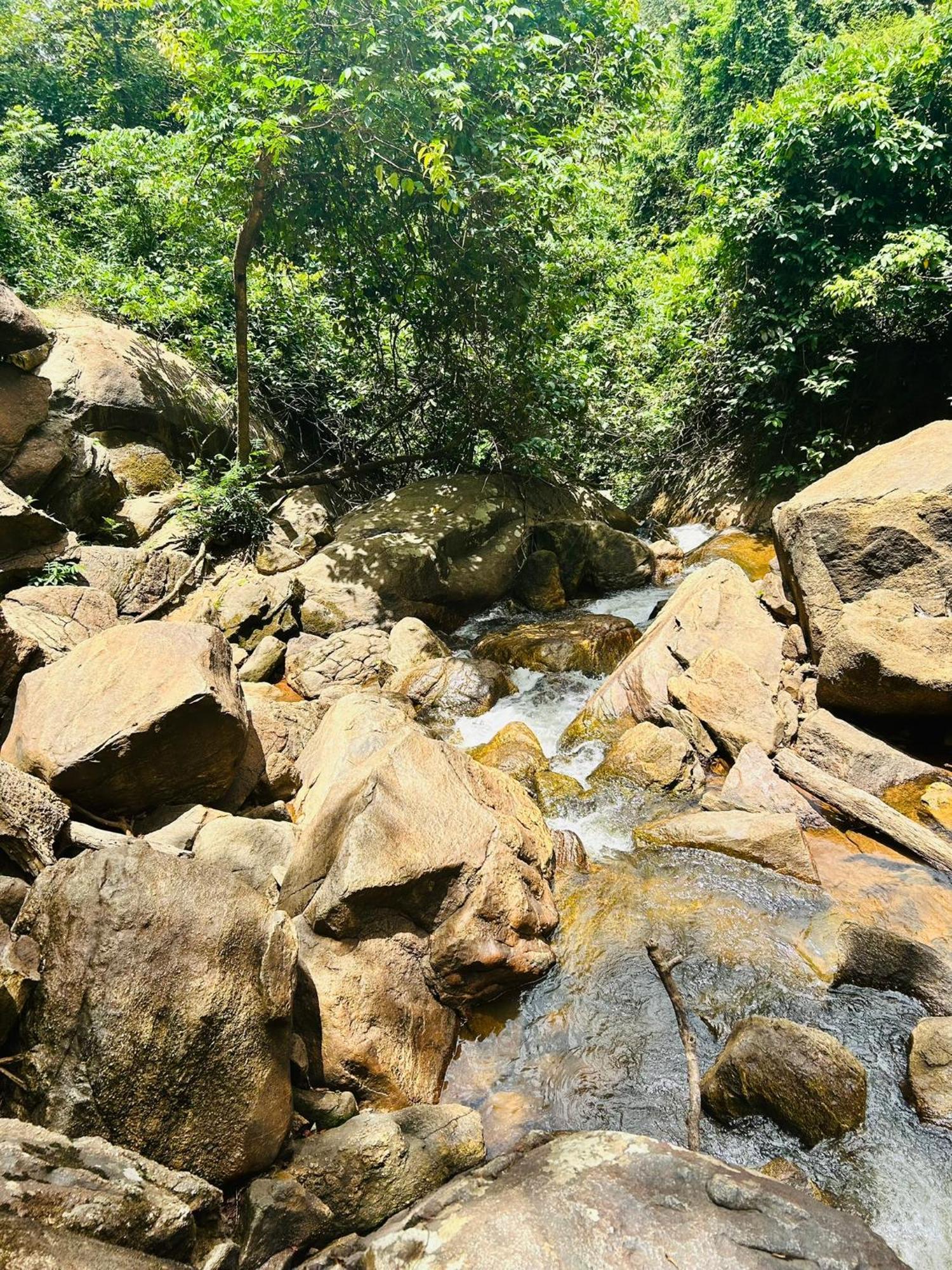 Pousada E Restaurante Alto Da Serra Bonito  Eksteriør bilde