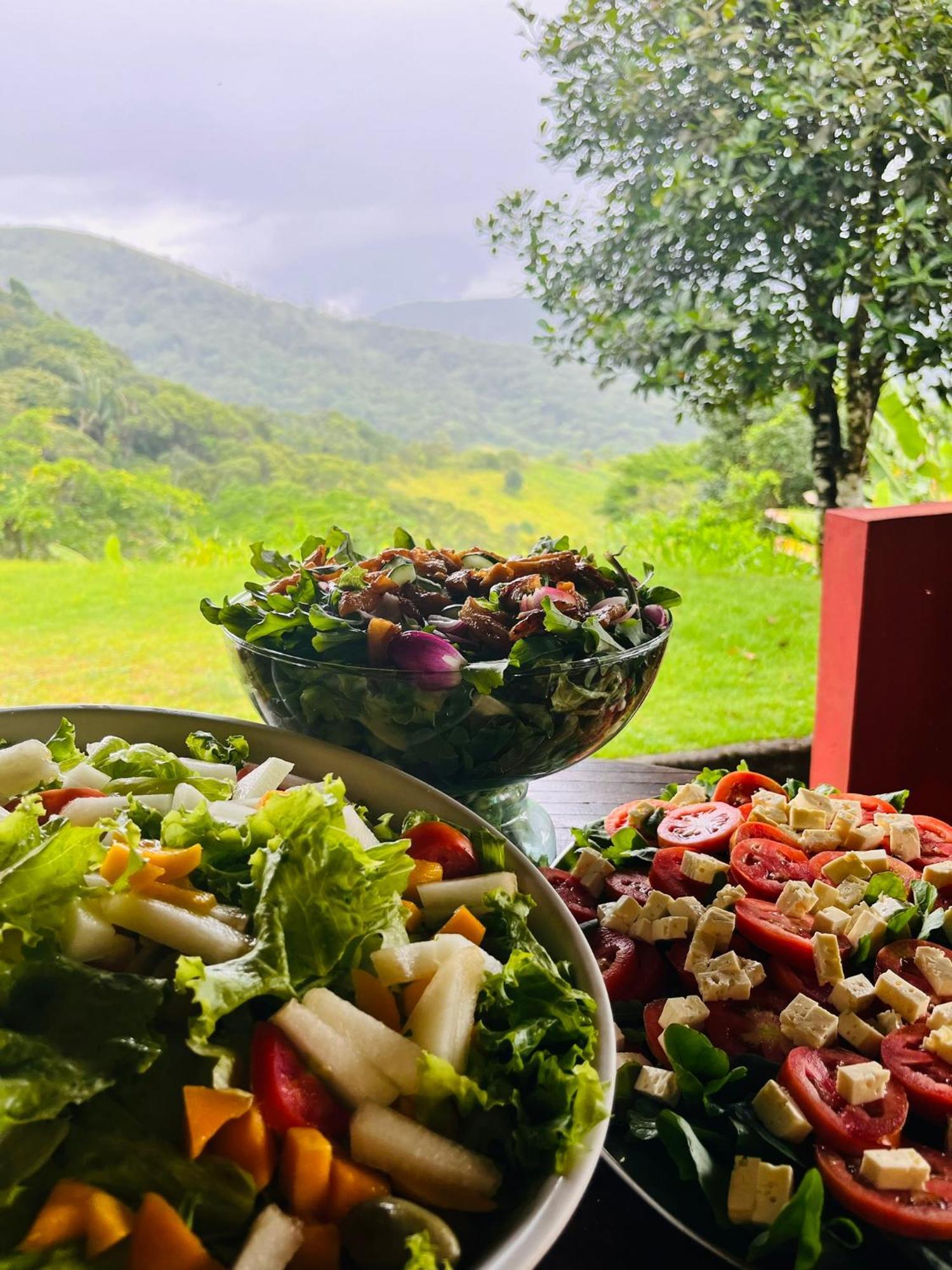 Pousada E Restaurante Alto Da Serra Bonito  Eksteriør bilde